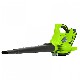 Akumulatorowa dmuchawa do lici Greenworks 40V GD40BV BRUSHLESS dmuchawa/odkurzacz 2w1 (bez akumulatora i adowarki)