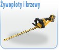 ywopoty i Krzewy